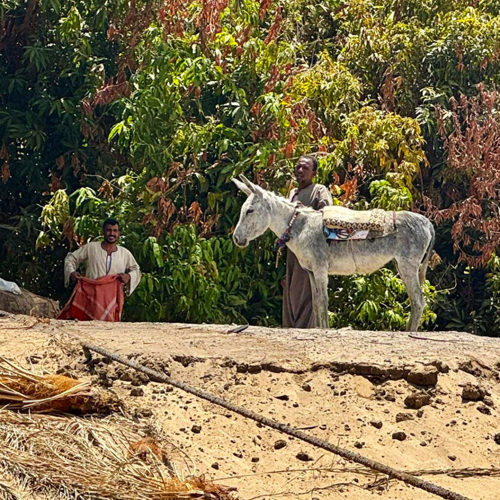 Time stands still along the Nile